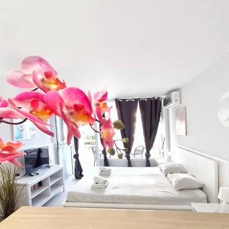 Sunshine Borinquen Apartment *