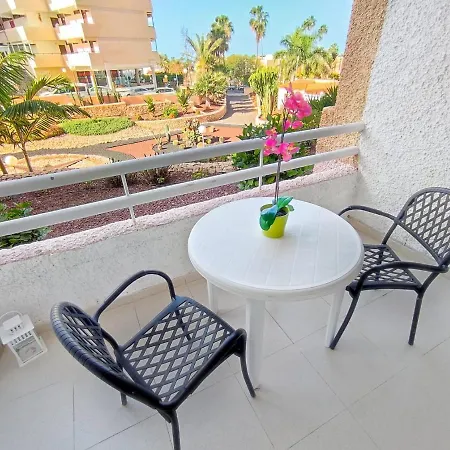 Apartment Sunshine Borinquen
